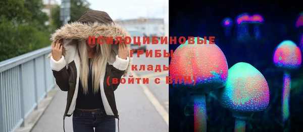 Альфа ПВП Абаза