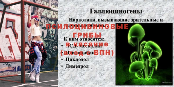 молекула духа Абинск
