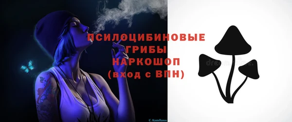 Альфа ПВП Абаза